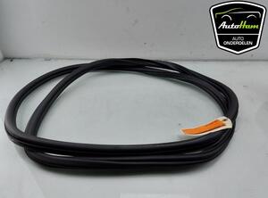 Door Seal VW GOLF VII Variant (BA5, BV5), VW GOLF VII (5G1, BQ1, BE1, BE2)