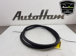 Door Seal AUDI A3 Sportback (8YA)