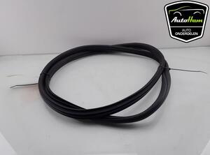 Door Seal BMW 1 (F40)