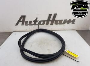 Door Seal OPEL CORSA F (P2JO)