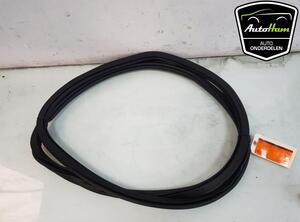 Door Seal CUPRA BORN (K11)