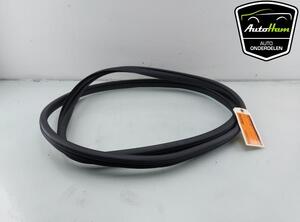 Door Seal MAZDA 2 (DL, DJ)