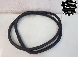 Door Seal VW GOLF VIII (CD1)