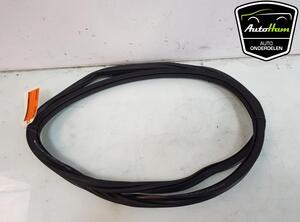 Door Seal VW GOLF VIII (CD1)