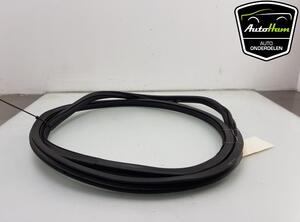 Door Seal VW GOLF VIII (CD1)