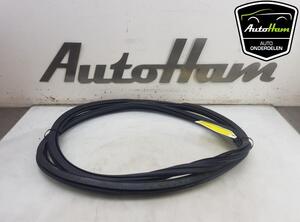 Door Seal AUDI A3 Sportback (8VA, 8VF), AUDI A6 Allroad (4GH, 4GJ, C7)