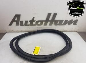 Door Seal AUDI A3 Sportback (8VA, 8VF), AUDI A6 Allroad (4GH, 4GJ, C7)