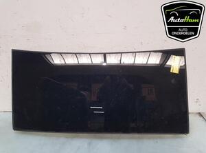 Door Glass TESLA MODEL X (5YJX)