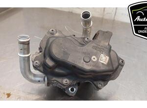 EGR Valve AUDI Q2 (GAB, GAG), SEAT LEON (5F1), VW POLO (AW1, BZ1), VW TIGUAN (AD1, AX1)