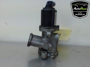 EGR Valve OPEL MERIVA A MPV (X03), OPEL CORSA D (S07), FIAT GRANDE PUNTO (199_), FIAT PUNTO EVO (199_)