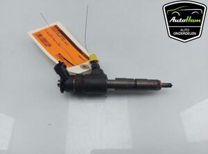 Injector Nozzle FORD FIESTA VI (CB1, CCN)