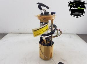 Fuel Pump AUDI Q5 (8RB), AUDI Q5 Van (8RB)