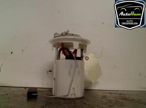 Fuel Pump CITROËN C3 PICASSO (SH_), PEUGEOT 207 (WA_, WC_), PEUGEOT 207 SW (WK_), PEUGEOT 207 CC (WD_)