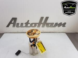 Fuel Pump FORD TRANSIT CONNECT V408 Box Body/MPV