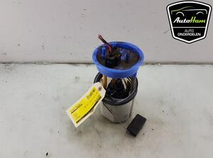 Fuel Pump SKODA FABIA II (542)