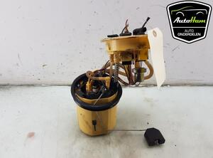 Fuel Pump AUDI A7 Sportback (4GA, 4GF), AUDI A6 Allroad (4GH, 4GJ, C7), AUDI A6 Avant (4G5, 4GD, C7)