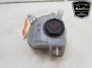 Coolant Expansion Tank SKODA FABIA IV (PJ3), SEAT ARONA (KJ7, KJP), SKODA SCALA (NW1), VW POLO (AW1, BZ1)