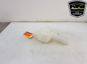 Coolant Expansion Tank RENAULT CLIO V (B7_)