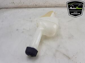 Coolant Expansion Tank RENAULT CLIO V (B7_)