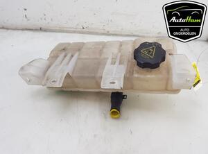 Coolant Expansion Tank TESLA MODEL X (5YJX), TESLA MODEL S (5YJS), TESLA MODEL Y (5YJY)