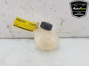 Coolant Expansion Tank OPEL CORSA F (P2JO), PEUGEOT 2008 II (UD_, US_, UY_, UK_), PEUGEOT 208 II (UB_, UP_, UW_, UJ_)