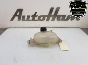 Coolant Expansion Tank RENAULT MASTER III Van (FV)