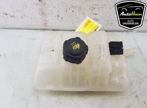 Coolant Expansion Tank RENAULT TALISMAN (LP_), RENAULT MEGANE IV Grandtour (K9A/M/N_)