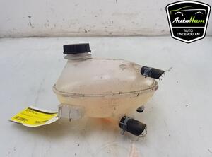 Coolant Expansion Tank FORD ECOSPORT, FORD FIESTA VII (HJ, HF), FORD PUMA (J2K, CF7)