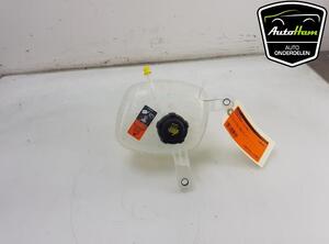 Coolant Expansion Tank NISSAN QASHQAI III (J12)