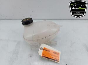 Coolant Expansion Tank FORD FIESTA VII (HJ, HF), FORD PUMA (J2K, CF7), FORD ECOSPORT