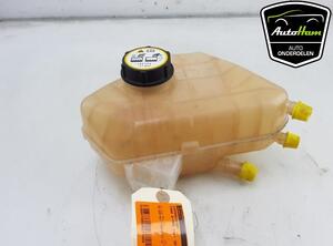 Coolant Expansion Tank FORD B-MAX (JK), FORD FIESTA VI (CB1, CCN), FORD KA+ (UK, FK)