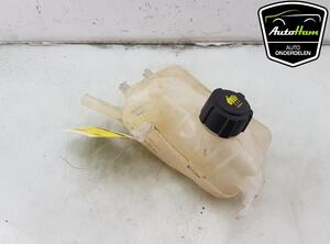 Coolant Expansion Tank RENAULT GRAND SCÉNIC III (JZ0/1_), RENAULT MEGANE III Coupe (DZ0/1_)