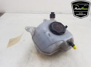 Coolant Expansion Tank SEAT IBIZA V (KJ1, KJG), SKODA SCALA (NW1), SKODA KAMIQ (NW4), VW POLO (AW1, BZ1)