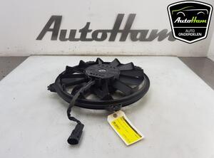 Radiator Electric Fan  Motor CITROËN C4 II (B7)