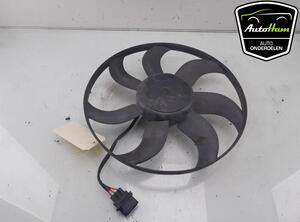 Radiator Electric Fan  Motor SEAT IBIZA IV ST (6J8, 6P8), VW POLO (6R1, 6C1), VW POLO Van (6R), SKODA FABIA III Estate (NJ5)