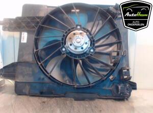 Radiator Electric Fan  Motor RENAULT GRAND SCÉNIC II (JM0/1_), RENAULT SCÉNIC II (JM0/1_), RENAULT MEGANE II (BM0/1_, CM0/1_)