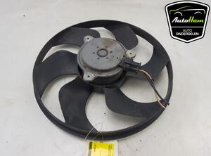 Radiator Electric Fan  Motor RENAULT CLIO III (BR0/1, CR0/1)