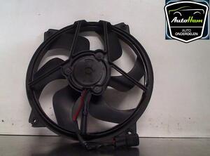 Radiator Electric Fan  Motor PEUGEOT 307 Break (3E), PEUGEOT 307 SW (3H), CITROËN C4 Coupe (LA_), CITROËN C4 I (LC_)