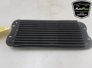 Fuel Radiator OPEL MOVANO B Bus (X62), OPEL MOVANO B Van (X62)