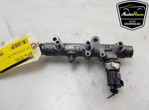 Petrol Fuel Rail AUDI Q5 (8RB), AUDI Q5 Van (8RB)