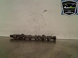 Petrol Fuel Rail CHEVROLET AVEO Hatchback (T300), OPEL CORSA D (S07)