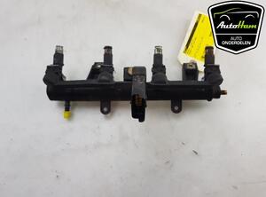 Petrol Fuel Rail CITROËN XSARA Break (N2)