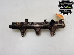 Petrol Fuel Rail AUDI A3 (8P1), AUDI A3 Sportback (8PA), AUDI Q5 (8RB), AUDI Q5 Van (8RB)