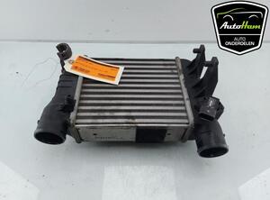 Intercooler AUDI A4 B7 Convertible (8HE), AUDI A4 (8E2, B6), AUDI A4 (8EC, B7)