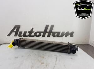 Intercooler FIAT FIORINO Box Body/MPV (225_), FIAT QUBO (225_), FIAT FIORINO MPV (225_)