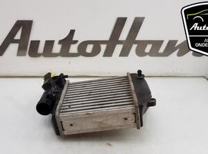 Interkoeler tussenkoeler AUDI A6 Avant (4F5, C6), AUDI A6 Allroad (4FH, C6), VW POLO (9N_), VW GOLF V (1K1)