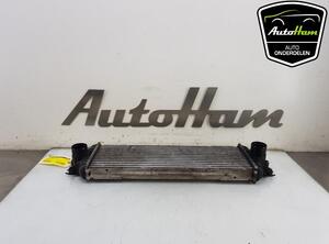 Intercooler OPEL VIVARO A Van (X83), RENAULT TRAFIC II Van (FL)