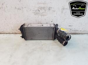 Intercooler OPEL MOKKA, PEUGEOT 2008 II (UD_, US_, UY_, UK_), OPEL CORSA F (P2JO)