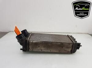 Intercooler CITROËN C4 II (B7), PEUGEOT PARTNER Box Body/MPV