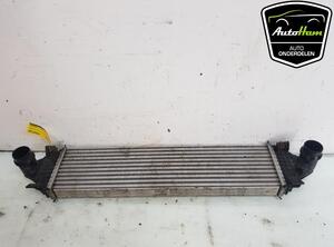 Intercooler FORD TRANSIT V363 Bus (FAD, FBD), FORD TRANSIT V363 Van (FCD, FDD)